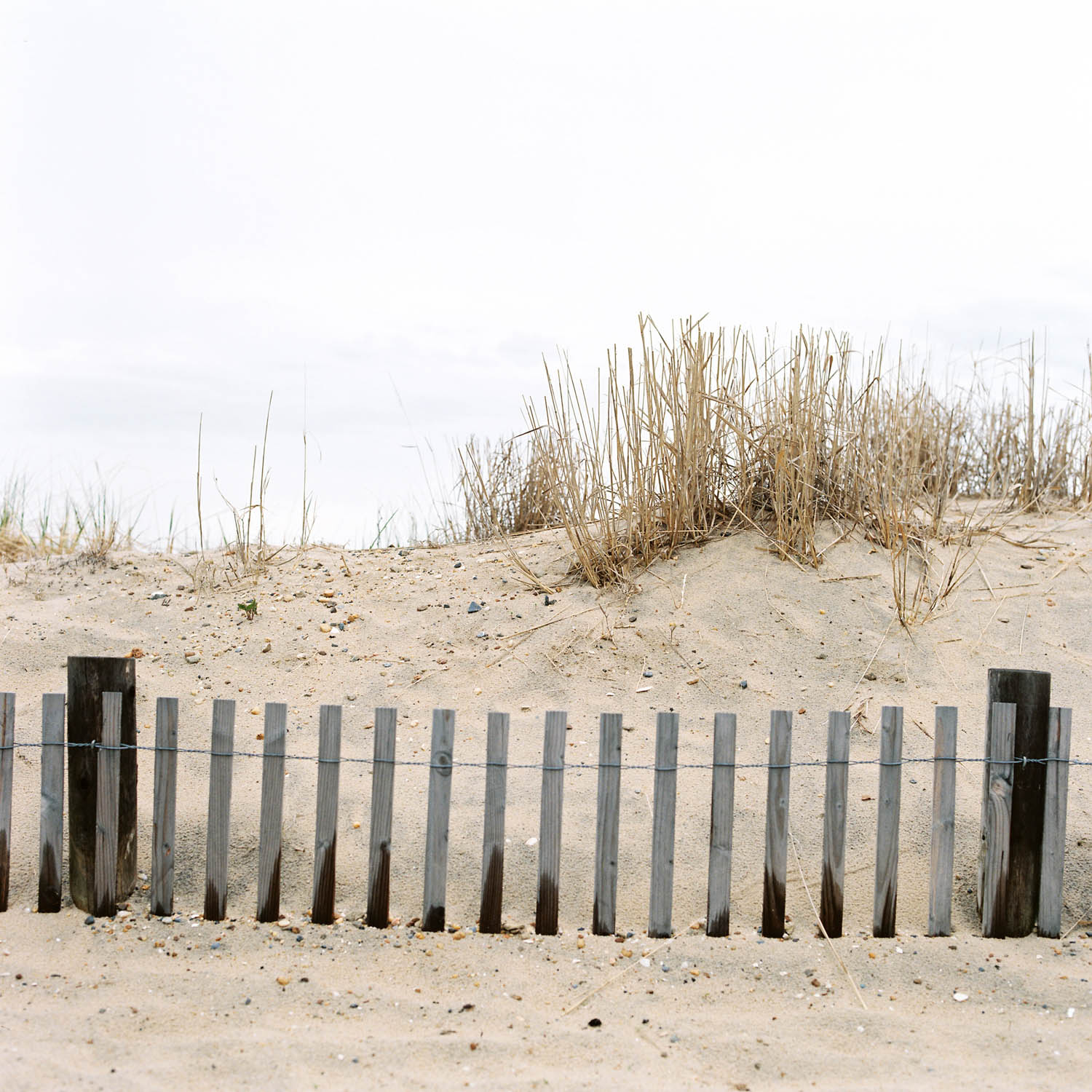 Rehoboth Beach, Delaware. Sand and wooden fence. Hasselblad 500c on Fuji Pro 400H